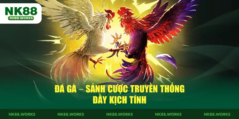 NK88 18 Đá gà – Sảnh cược truyền thống đầy kịch tính
